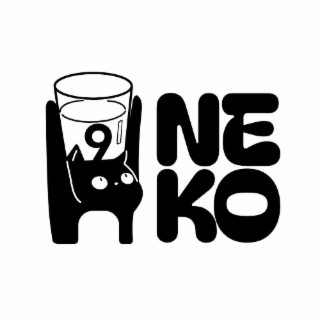 H 9 NE KO logo
