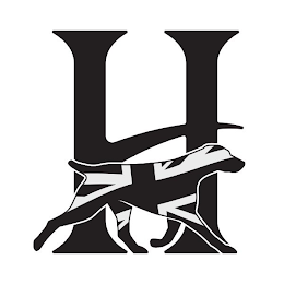 H logo