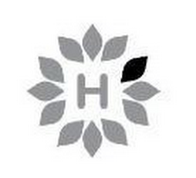 H logo