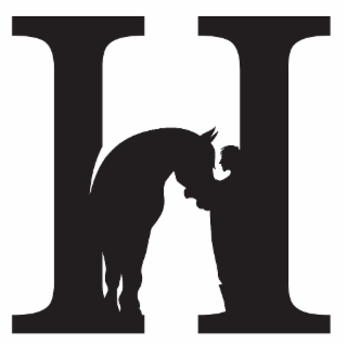 H logo