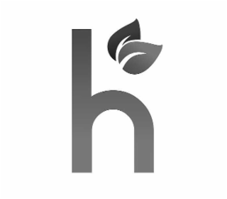 H logo
