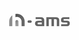 H - AMS logo