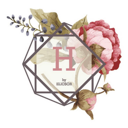 H BY ELICSOR logo