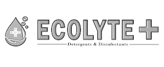 H H O CL CL ECOLYTE+DETERGENTS & DISINFECTANTS logo