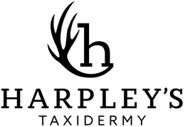 H HARPLEY'S TAXIDERMY logo