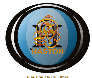 H HASTON D M HASTON HOLDINGS logo