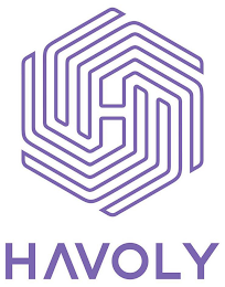 H HAVOLY logo
