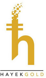 H HAYEKGOLD logo