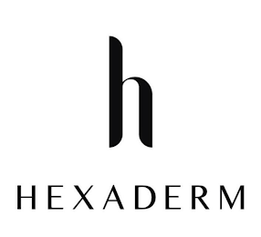 H HEXADERM logo