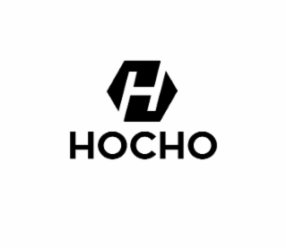 H HOCHO logo