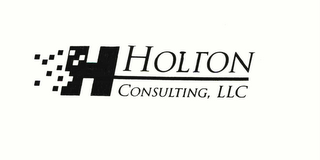 H HOLTON CONSULTING, LLC logo