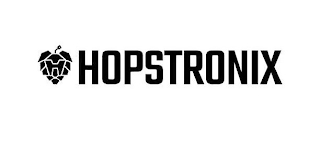 H HOPSTRONIX logo