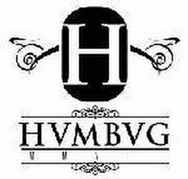 H HVMBVG logo