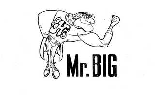 H MR. BIG logo