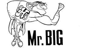 H MR. BIG logo