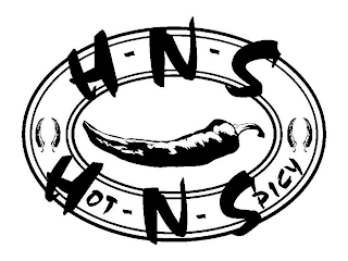 H-N-S HOT-N-SPICY logo