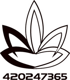 H S 420247365 logo