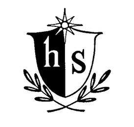H S logo