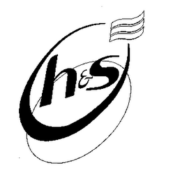 H & S logo