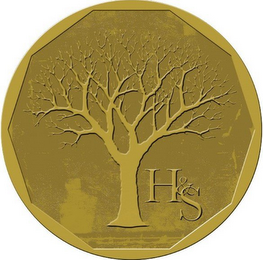 H & S logo