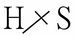 H S logo