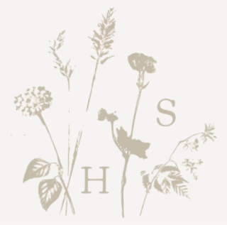 H S logo