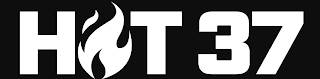 H T 37 logo