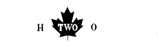 H TWO O logo