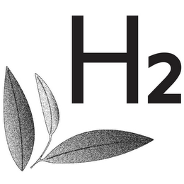 H2 logo