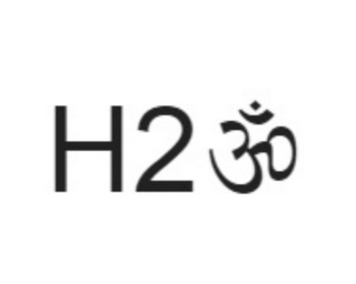 H2 logo