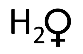 H2 logo