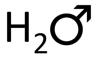 H2 logo
