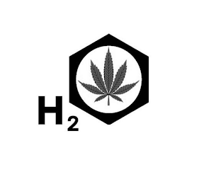 H2 logo