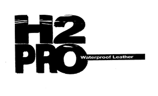 H2 PRO WATERPROOF LEATHER logo