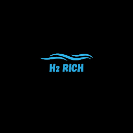 H2 RICH logo
