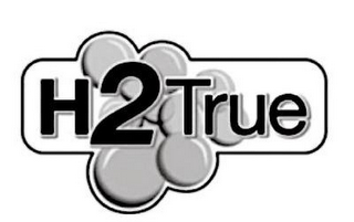 H2 TRUE logo