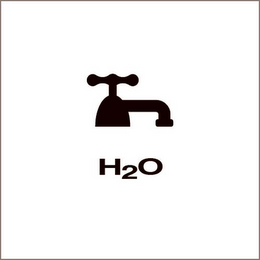 H20 logo