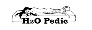 H20-PEDIC logo