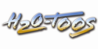 H20 - TOOS logo