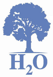 H2O logo