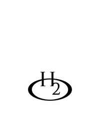H2O logo