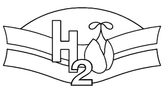 H2O logo