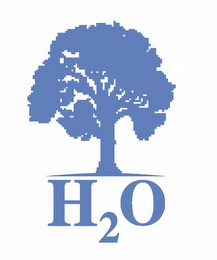 H2O logo
