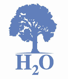 H2O logo
