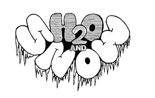 H2O AND SNOW logo