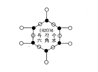(H2O)6 logo