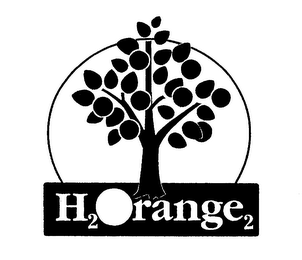 H2ORANGE2 logo
