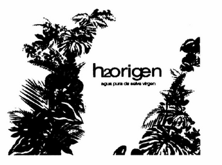 H2ORIGEN AGUA PURA DE SELVA VIRGEN logo