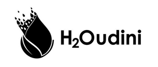 H2OUDINI logo
