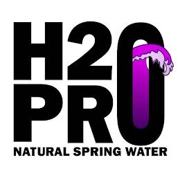 H2PRO NATURAL SPRING WATER logo